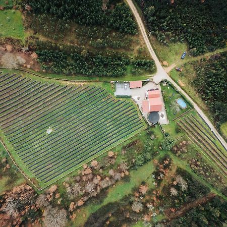 Quinta Vale Salgueiro Apartment Seia Bagian luar foto