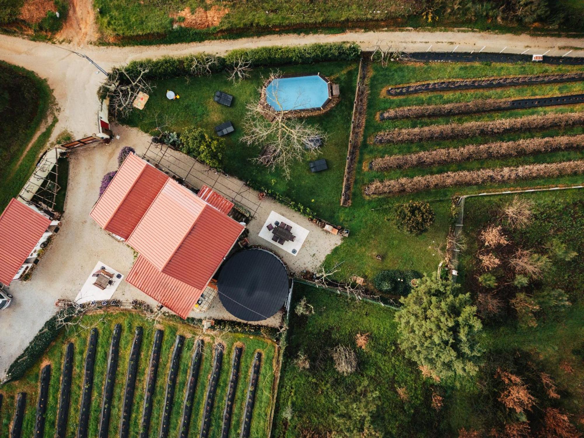 Quinta Vale Salgueiro Apartment Seia Bagian luar foto