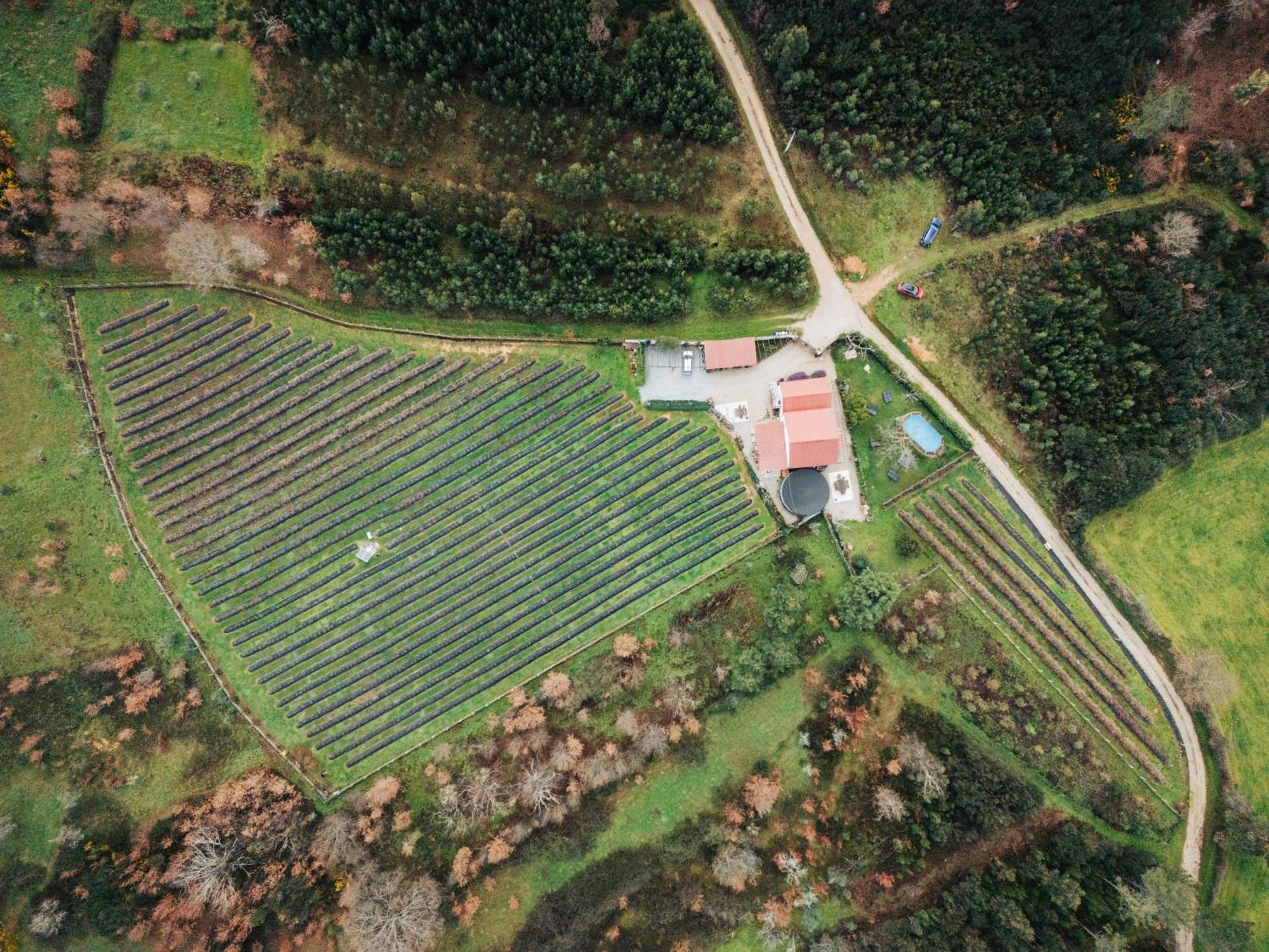 Quinta Vale Salgueiro Apartment Seia Bagian luar foto