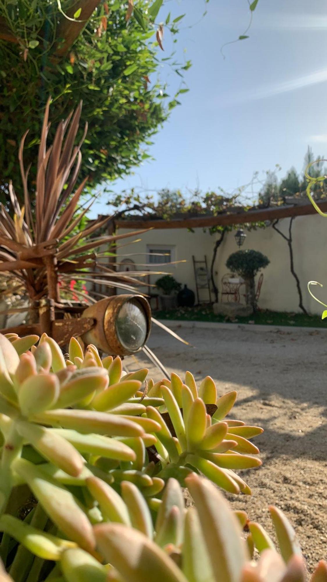 Quinta Vale Salgueiro Apartment Seia Bagian luar foto